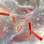 Antibiotic Resistance
