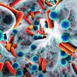 COVID-19 & Antibiotic Resistance